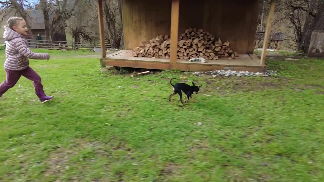 Child girl is playing with the dog outdoor at countryside