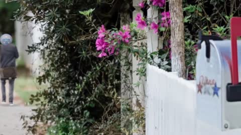 Tucker Carlson sur la démission du Dr