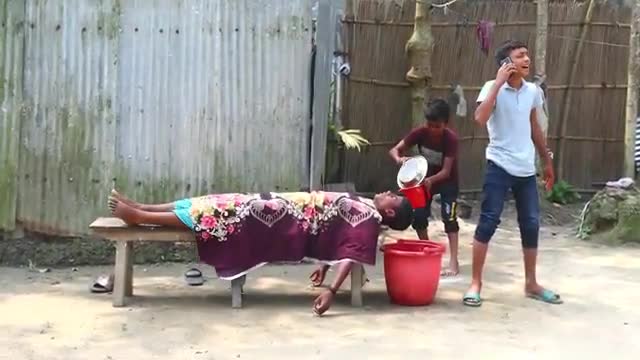 Funny | Try not to laugh