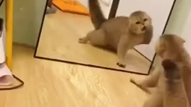 Why is he angry when he saw his self in the miror