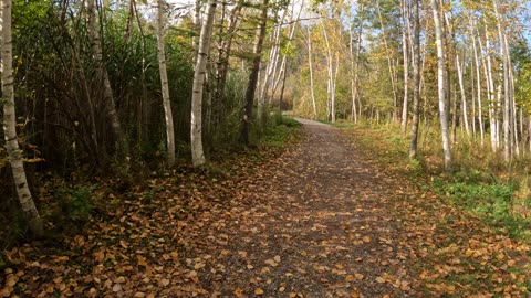 🍂 Welcome To Lime Kiln Trail in Ottawa 🍁🍂 Fall Edition Part 1 Oct 1st 2024🌿🍀🍃🥬