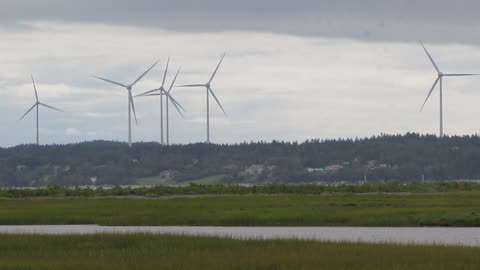 Coastal Windmills