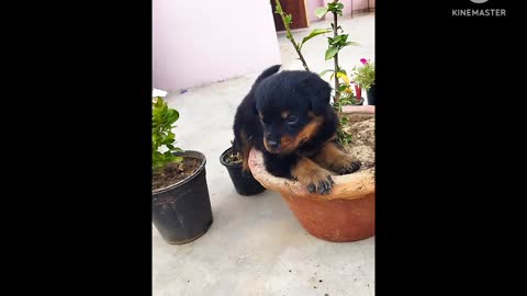 My first day in my new house