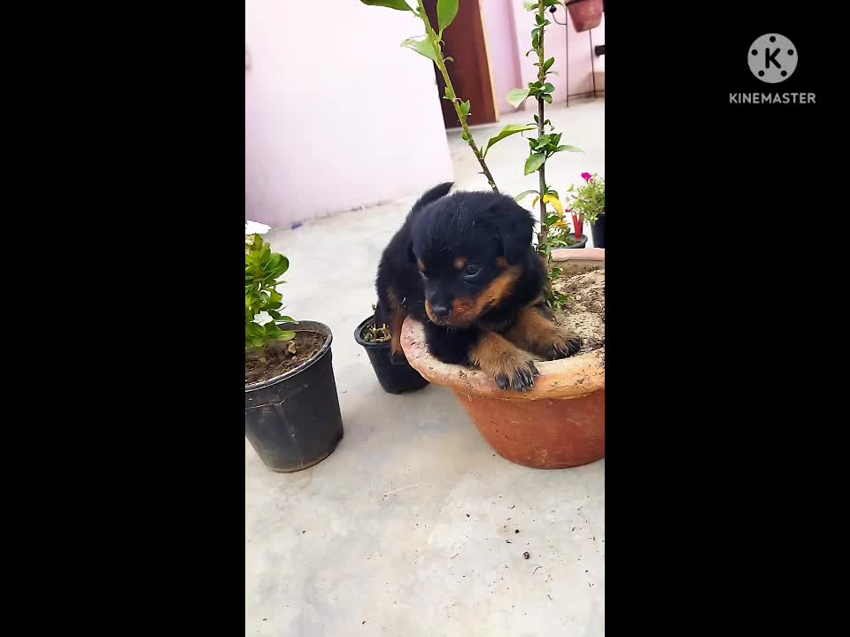 My first day in my new house