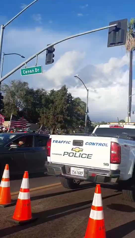 Stop the Steal Rally in D.C.11/14/2020-2