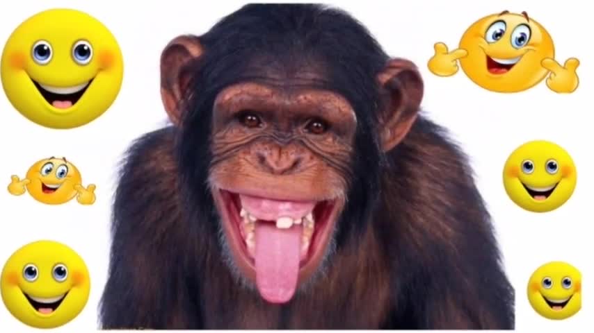 1st April WhatsApp status 2021, April Fool