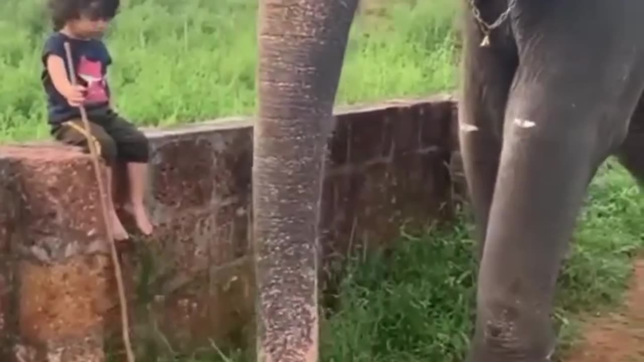 Elephant with his Little Owner