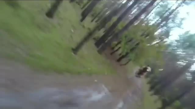 Turkish Guy Escaping Away From the Bear