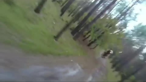 Turkish Guy Escaping Away From the Bear