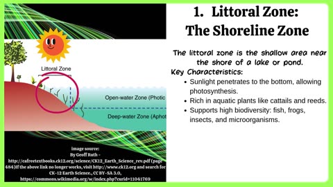 Limnetic vs Littoral vs Profundal Zone: Aquatic Ecosystem Zones Explained