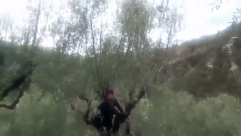 Αναταραχή ΠΕΙΝΑ