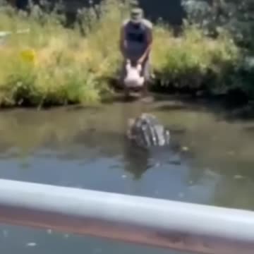 BRAINLESS PEOPLE DO VERY DUMB & STUPID THINGS!!!