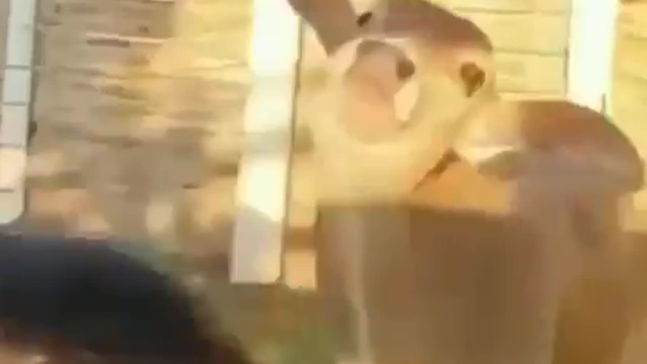Beautiful moment! 😂