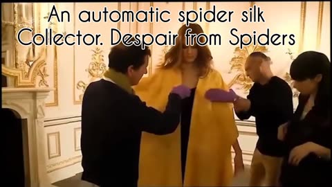 An automatic spider silk collector