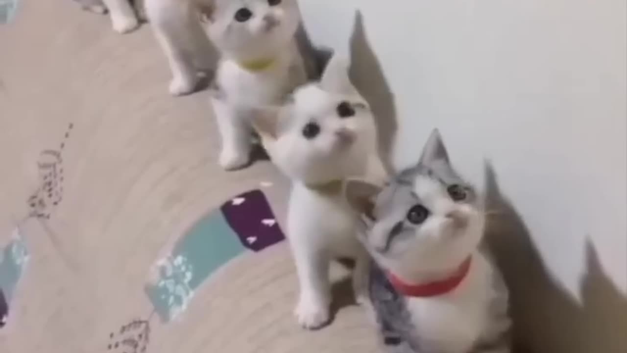 .....