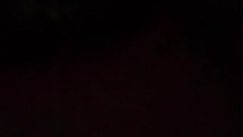 I am definitely delusional, are you correct