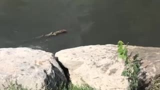 Oops! Enjoying some fun in the sun & water out in Colorado