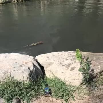 Oops! Enjoying some fun in the sun & water out in Colorado