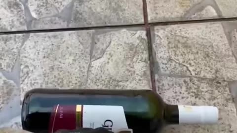 Bottle breaking satisfying