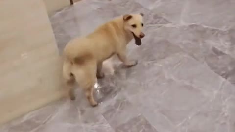 Although you are an animal, you are warmer than anyone