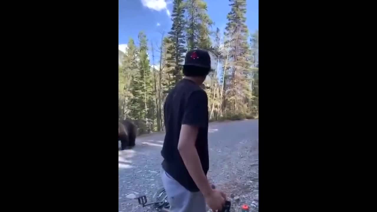 "Take it easy..." Large bear casually walks by bicyclists taking a break in Edmonton, Canada