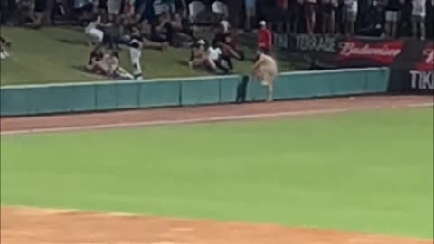 Streaker Gets Tackled at Jumbo Shrimp Game