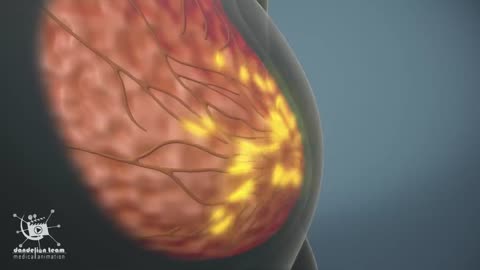 female orgasm | Female anatomy and biology