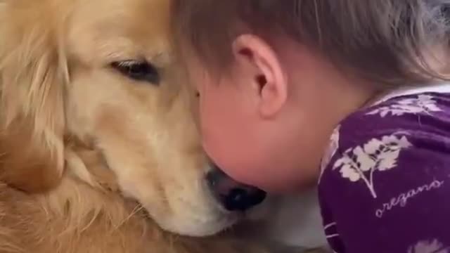 A Super Cute