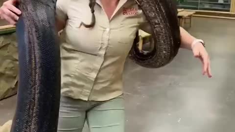 Playing with Anaconda