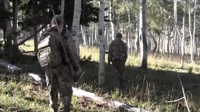 Anderson Acres Adventures - Northern Utah 350 Class Elk