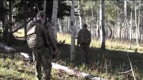 Anderson Acres Adventures - Northern Utah 350 Class Elk