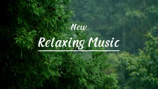 Relaxing Music | Sleeping, Meditation, Stress Relief | [5407] ⭐️