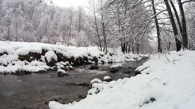 Beautiful winter Video and photos with Meditation music. [HD]