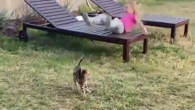 Watch the cat's reaction when it goes crazy