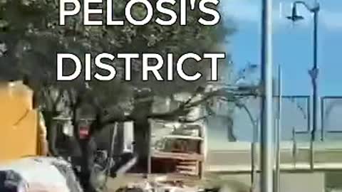 Nancy's Pelosi District