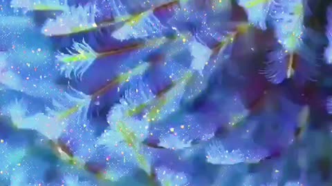 beauty in nature Beautiful trending topic video fish 🐠 fishing 🐟