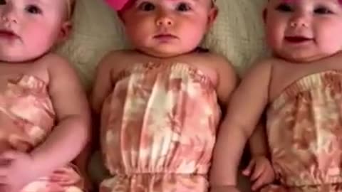 Funny baby videos