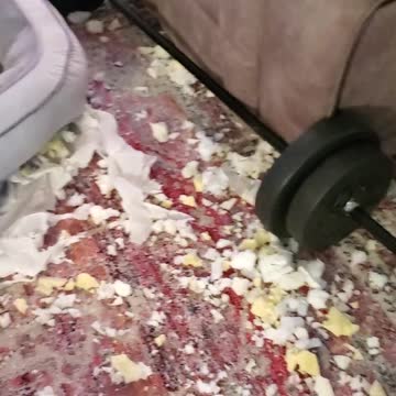 Loves shredding her beds lol