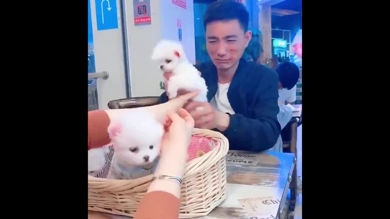 funny video