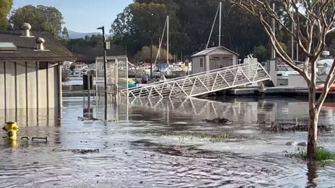 Tsunami California