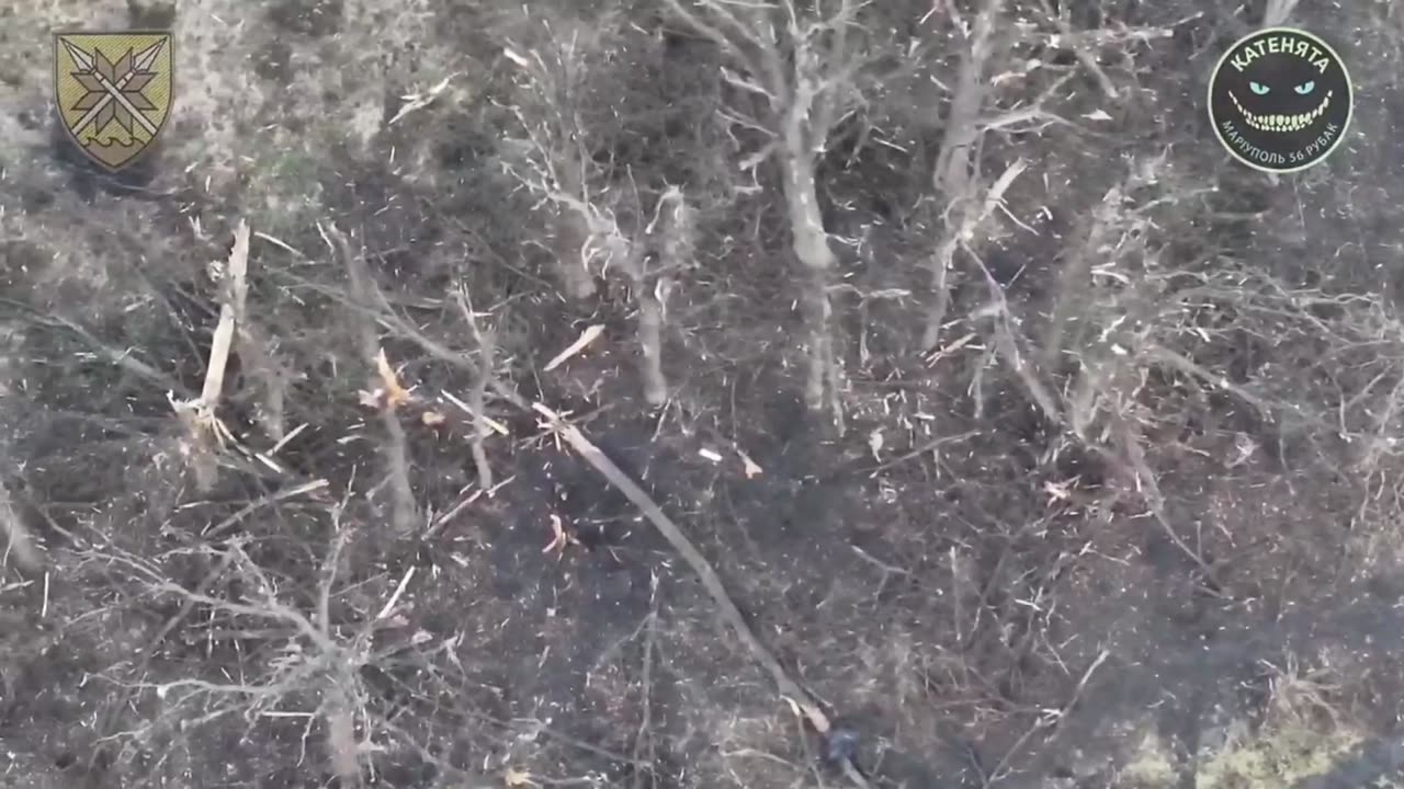 19032024.1502