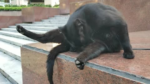 20240422 170839 Tux Washing