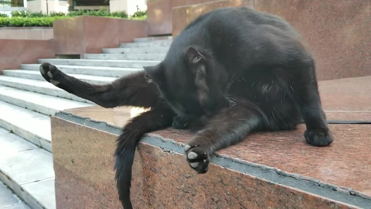 20240422 170839 Tux Washing