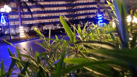 noel night hotel
