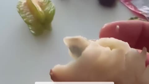 Anyone know what these are called?