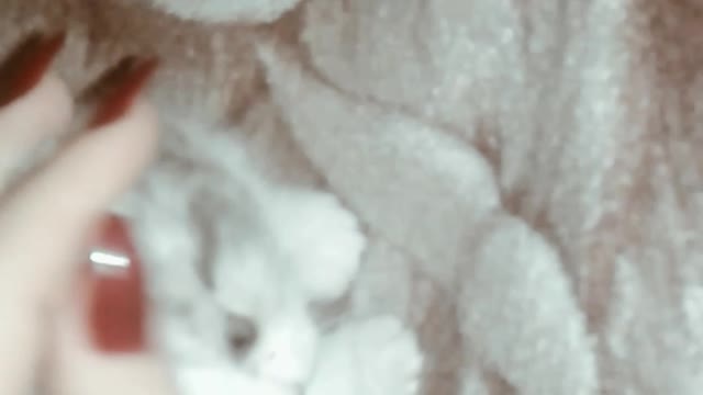 Little babi playing