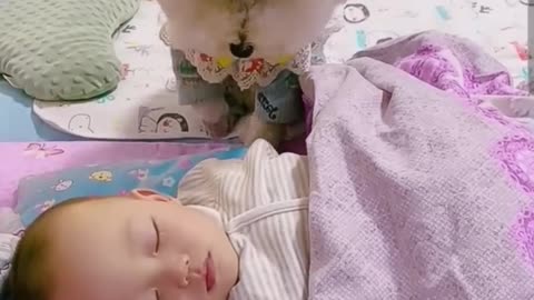 ❤️❤️💔💔 most heartwarming s tauching ~cite dog takes care of cute baby