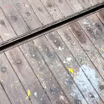 The octopus grabbed my arm