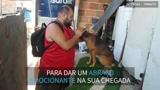 O abraço que todos sonham em receber ao chegar em casa