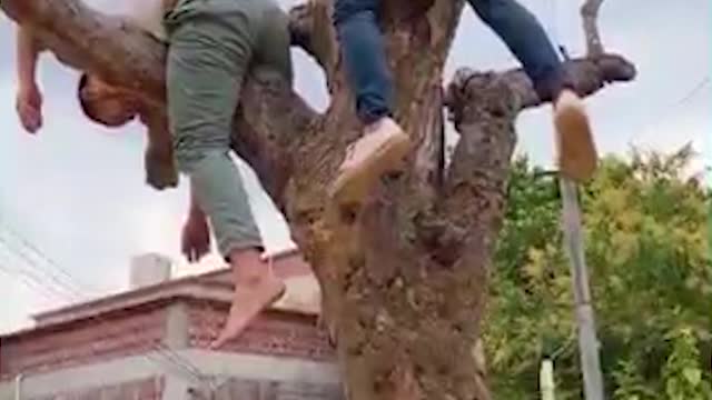 Funny Videos - Try to not laugh until end
